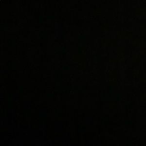 Meet your Posher, Brayden